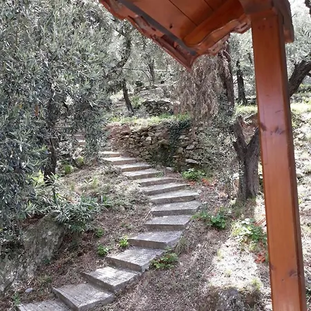 Alex Seaview House Διαμέρισμα Χορευτό Εξωτερικό φωτογραφία
