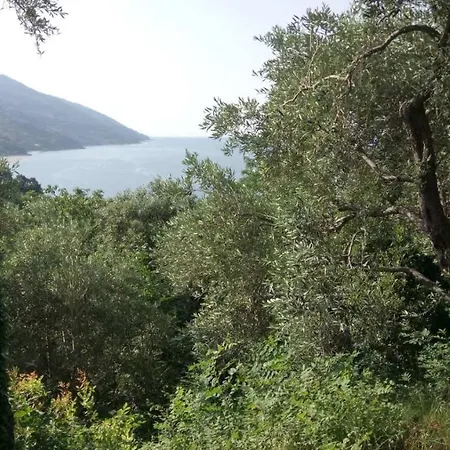 Alex Seaview House Διαμέρισμα Χορευτό Εξωτερικό φωτογραφία